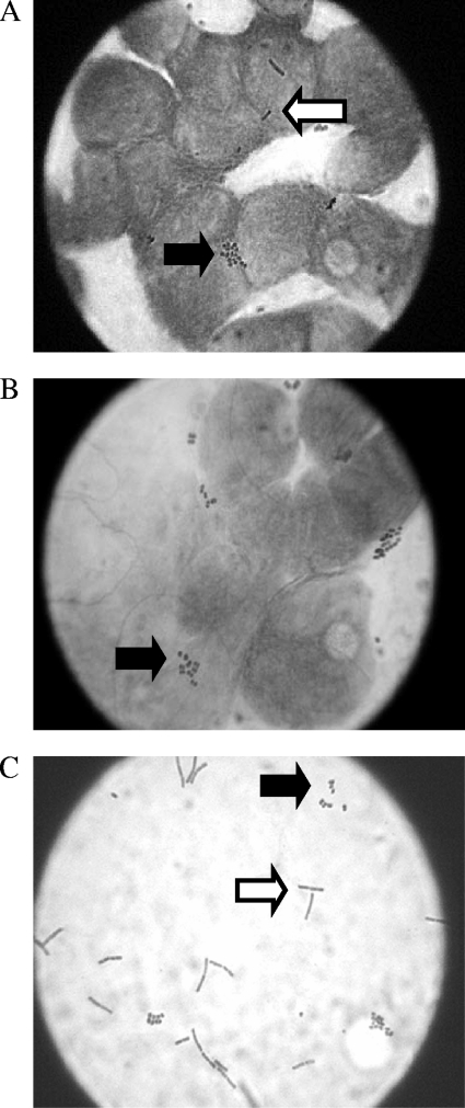 FIG. 5.