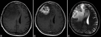Figure 4:
