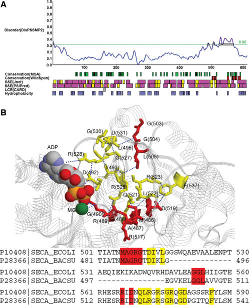 Figure 4.