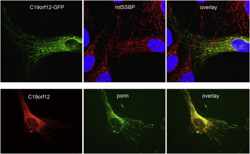 Figure 6