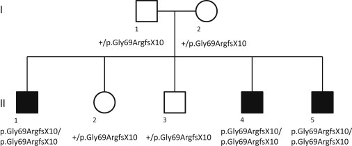 Figure 1