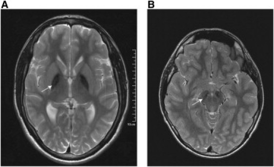 Figure 4