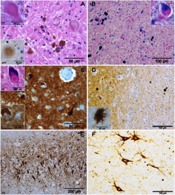 Figure 5