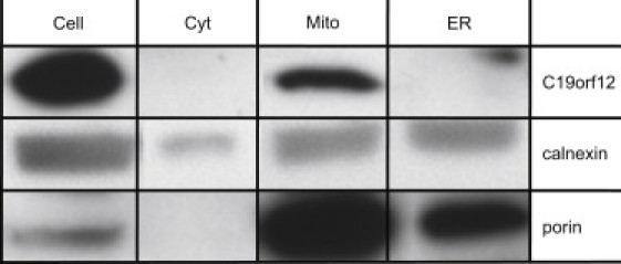 Figure 7