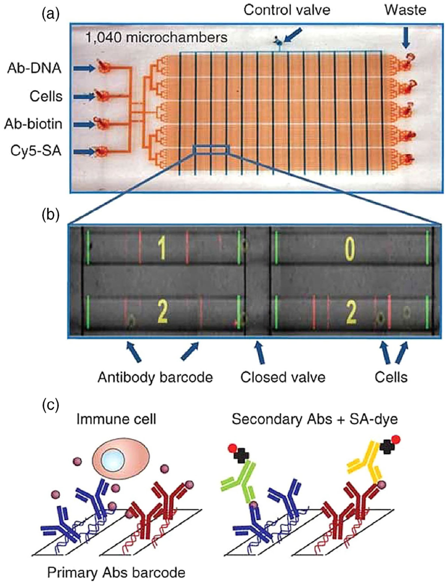 FIGURE 1