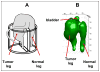 Fig. 14
