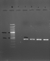 FIG. 4.