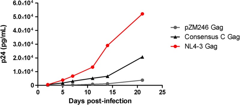 FIG 3