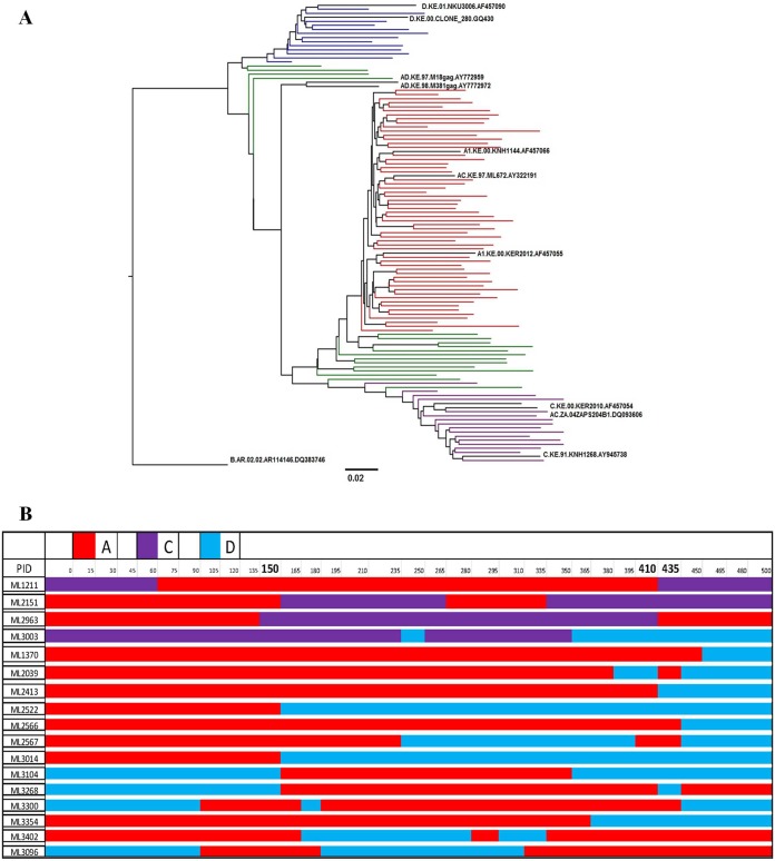 FIG 6