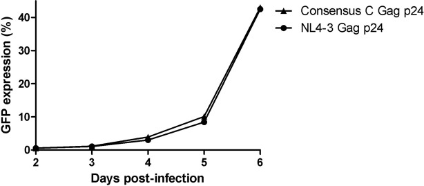 FIG 4