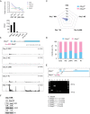 Figure 3—figure supplement 1.