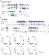 Figure 4—figure supplement 2.