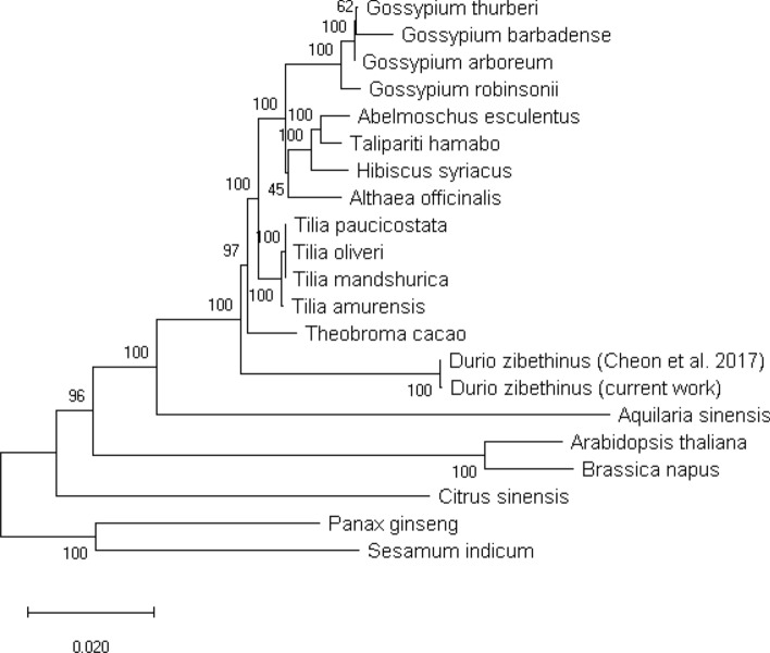 Figure 4