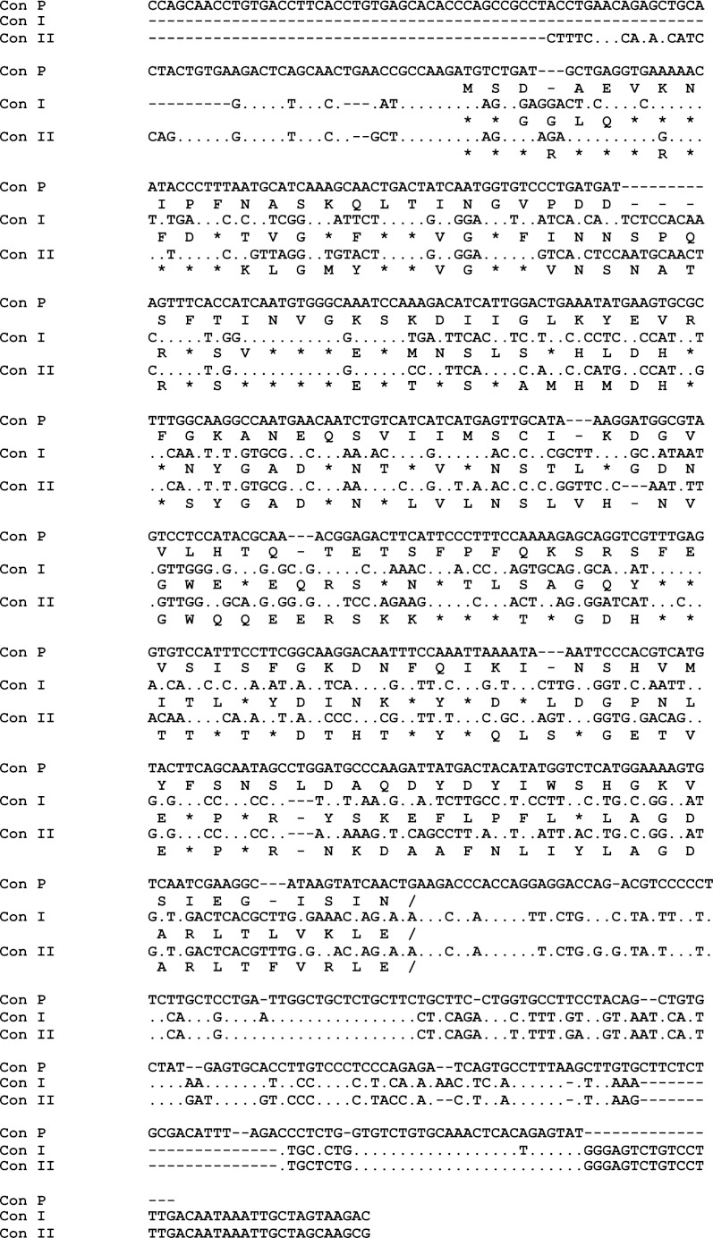 FIGURE 1.