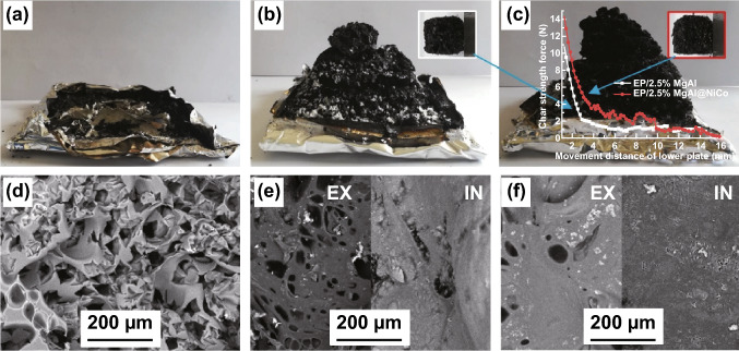 Fig. 6