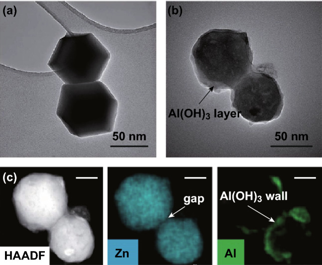 Fig. 8