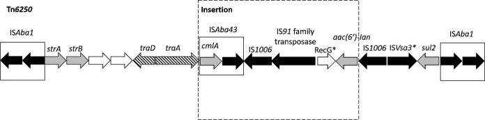 FIG 4