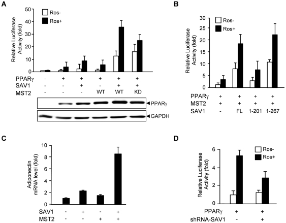 Figure 5