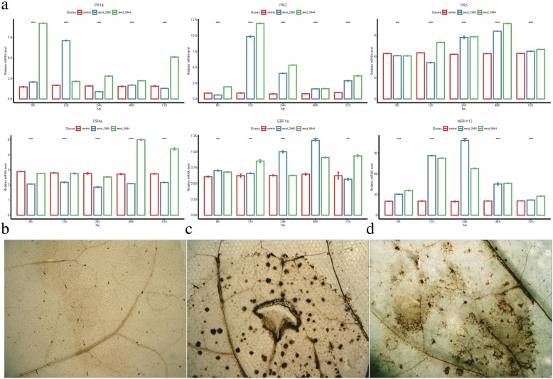 Fig. 9