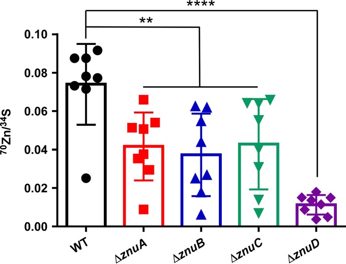 FIG 6