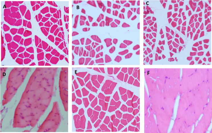 Fig. 4