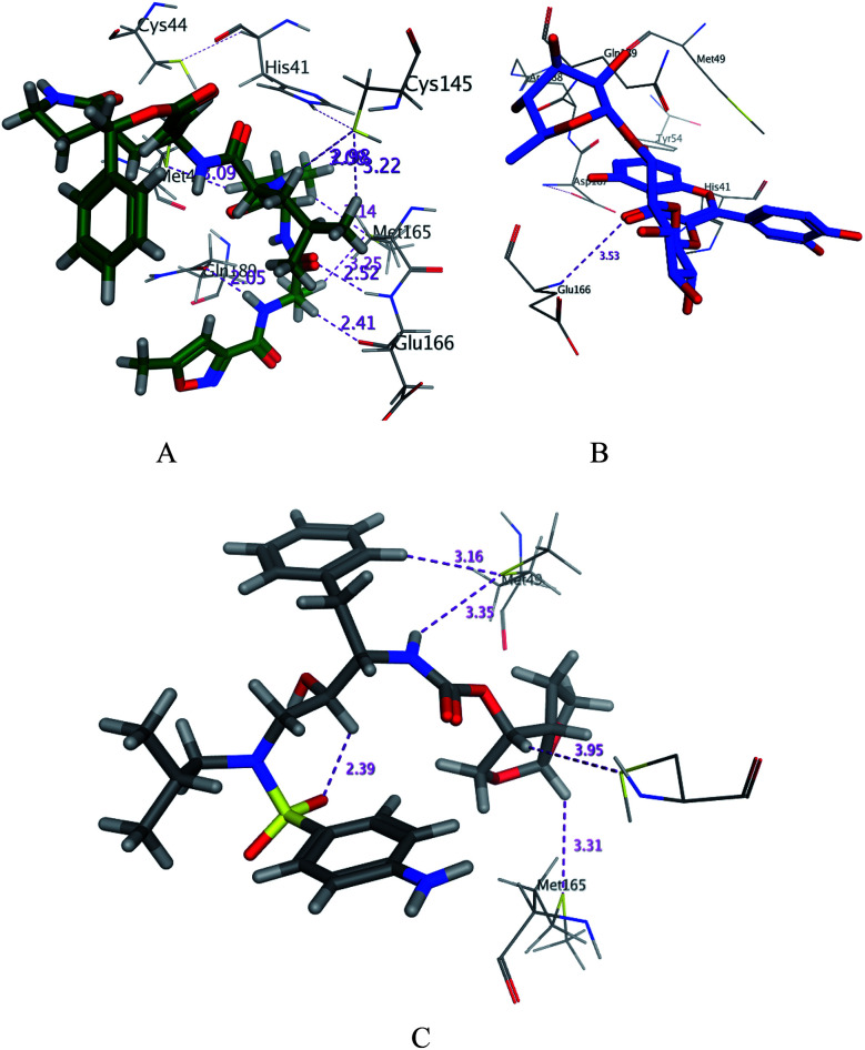 Fig. 3