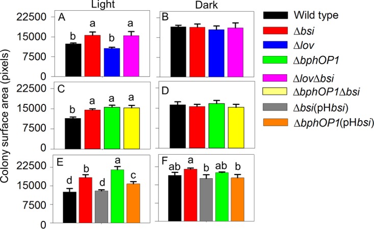 FIG 4 