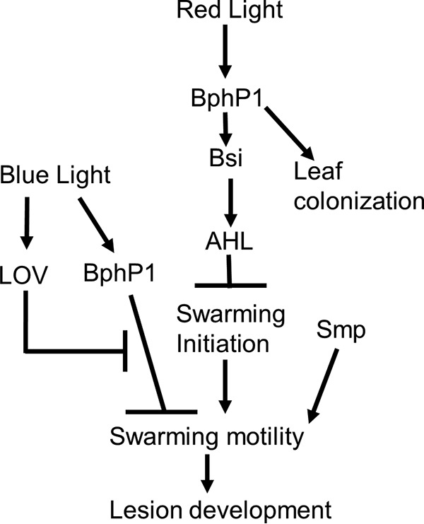 FIG 11 