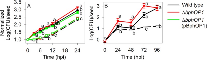 FIG 9 