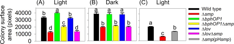 FIG 3 