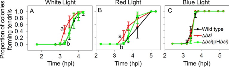 FIG 5 