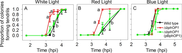 FIG 1 