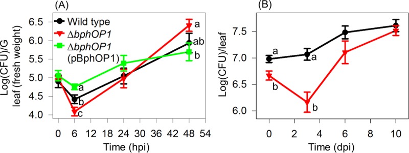 FIG 10 