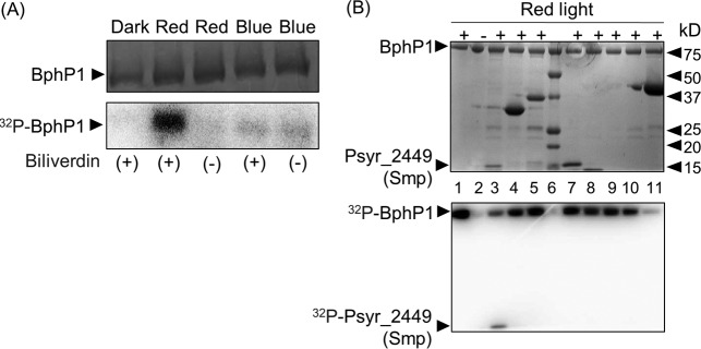 FIG 2 