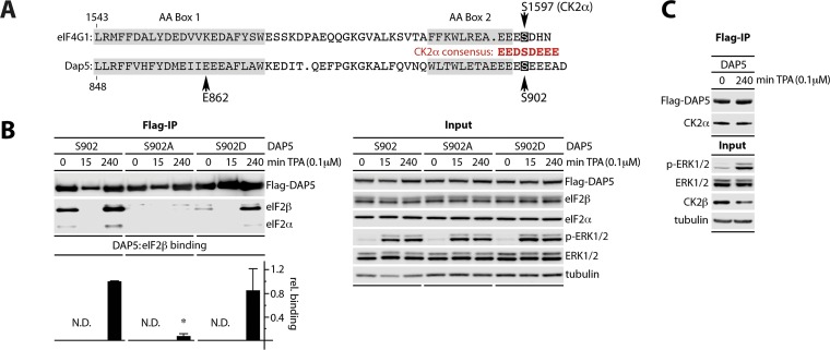 FIG 2