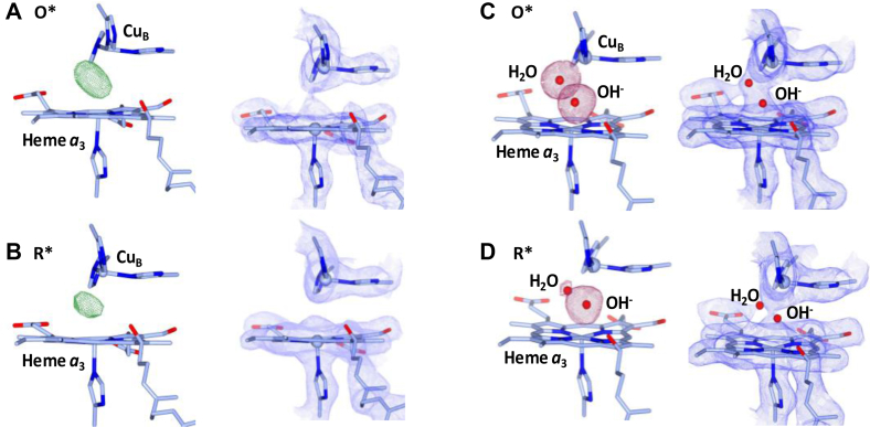 Figure 5