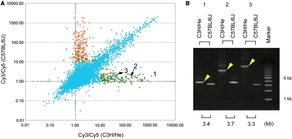 Figure 3.