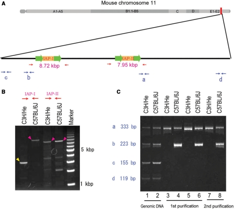 Figure 2.