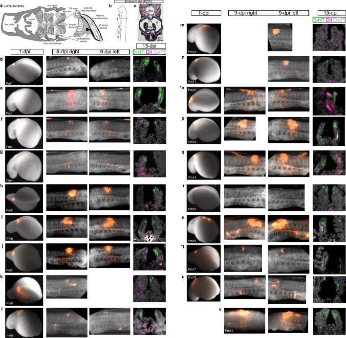 Figure 4—figure supplement 1.