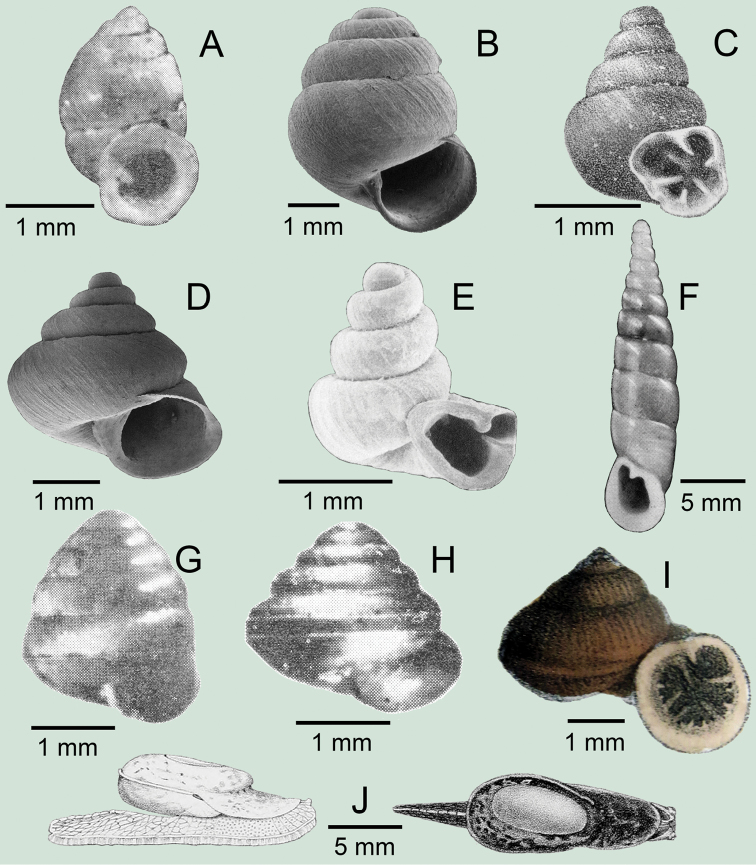 Figure 17.