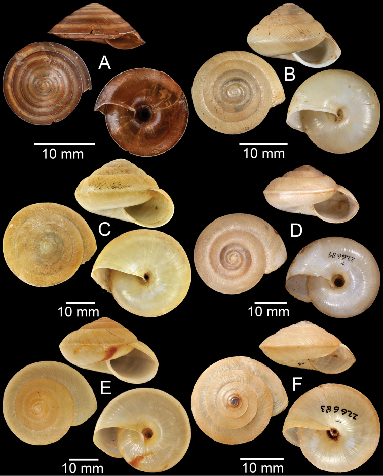 Figure 34.