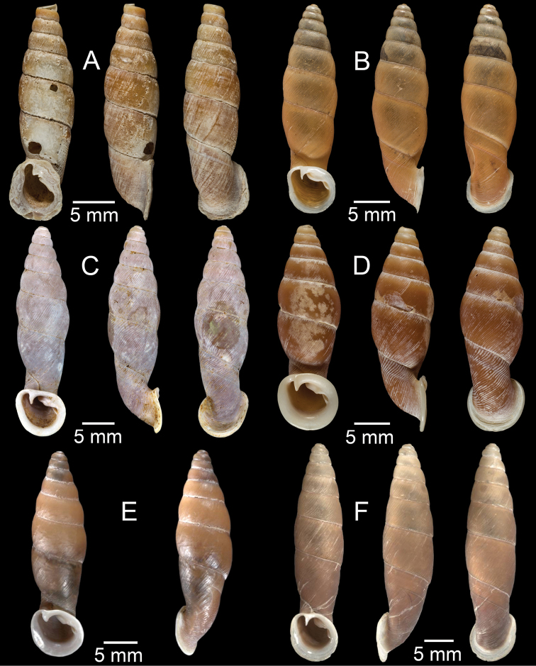 Figure 28.