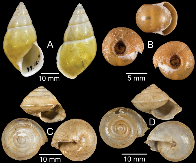 Figure 60.