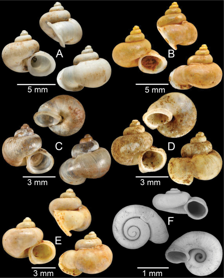 Figure 4.