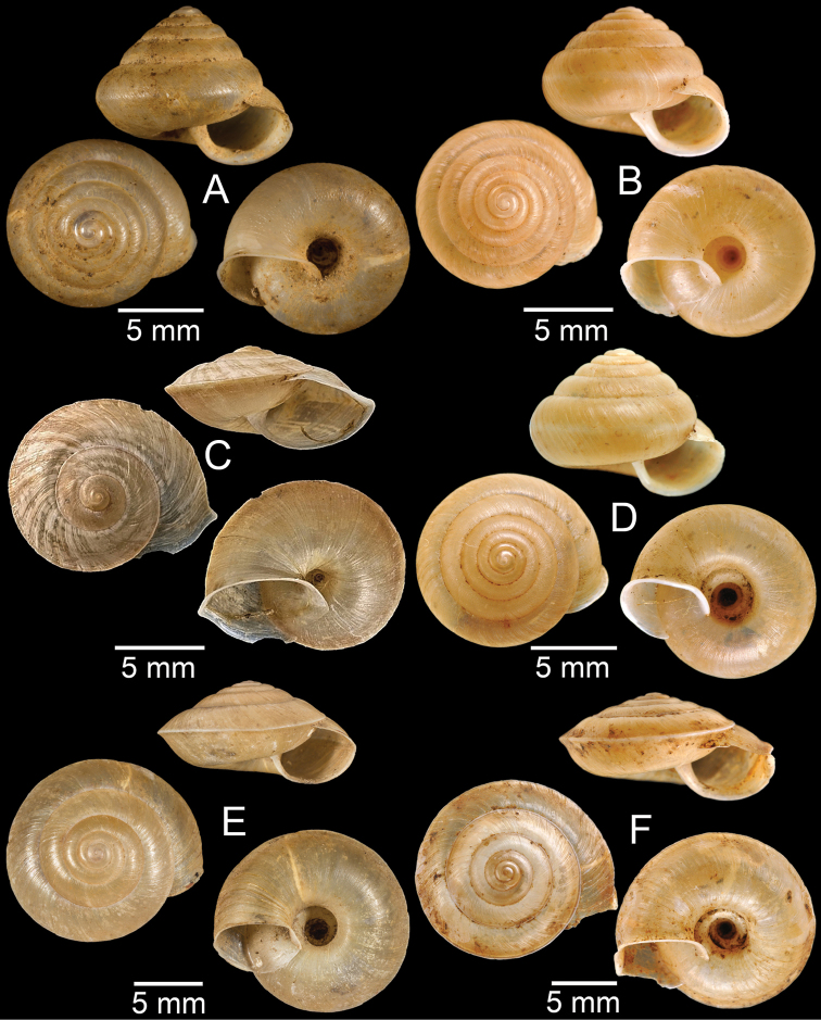 Figure 40.