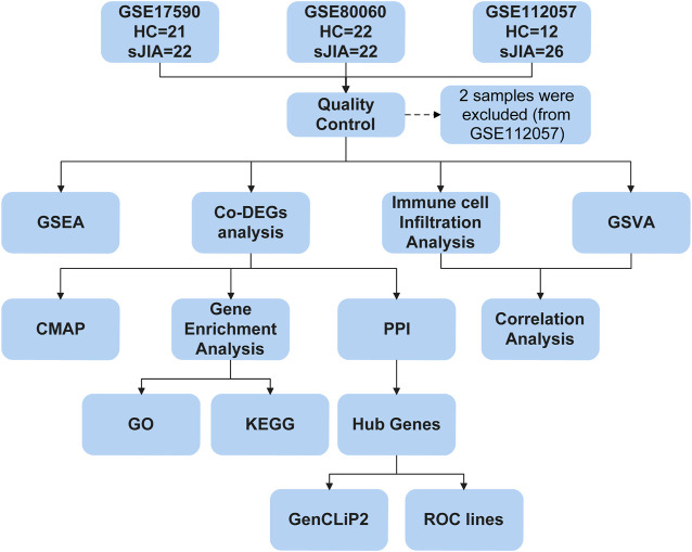 FIGURE 1