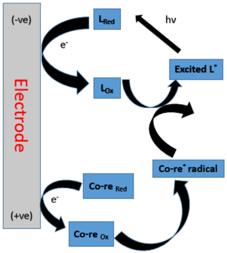 Figure 8