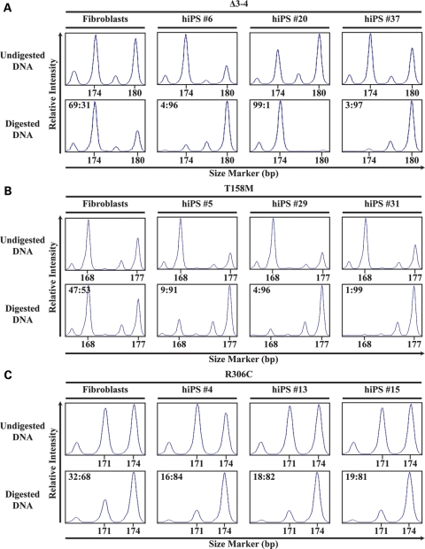 Figure 4.