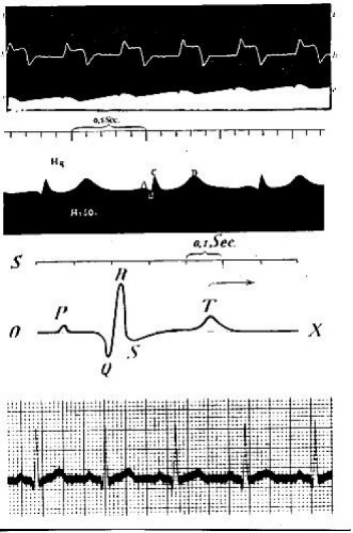 Fig. 32