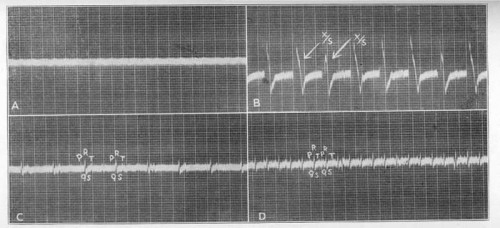 Fig. 44